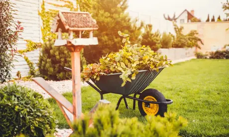 Jardin et balcon en novembre: comment se préparer pour le gel plus fort?