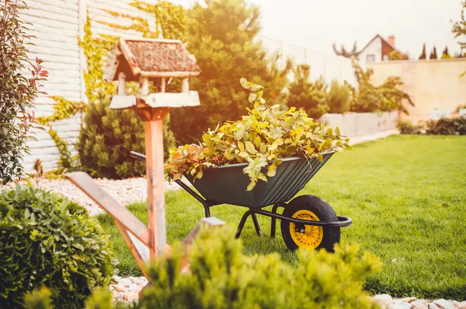 Jardin et balcon en novembre: comment se préparer pour le gel plus fort?