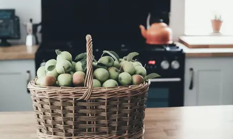 Jardin au mois de septembre: On récolte les graines et on commence à hiverner