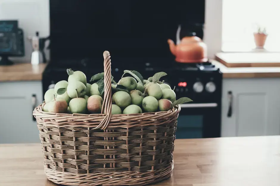 Jardin au mois de septembre: On récolte les graines et on commence à hiverner