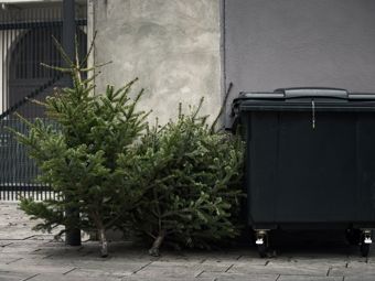 Quoi faire avec le sapin de Noël?