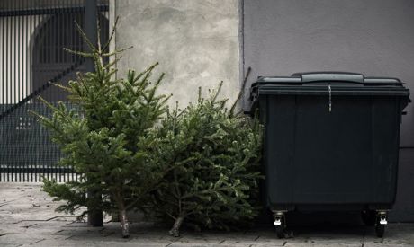 Quoi faire avec le sapin de Noël?