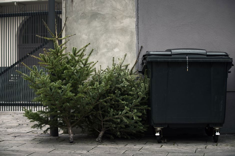 Quoi faire avec le sapin de Noël?