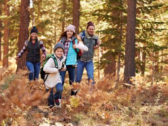 L’hiver se termine, allez avec vos enfants dans la forêt! Jeux et idées pour les premières promenades printanières