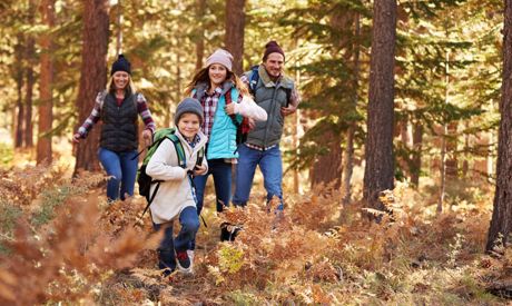 L’hiver se termine, allez avec vos enfants dans la forêt! Jeux et idées pour les premières promenades printanières