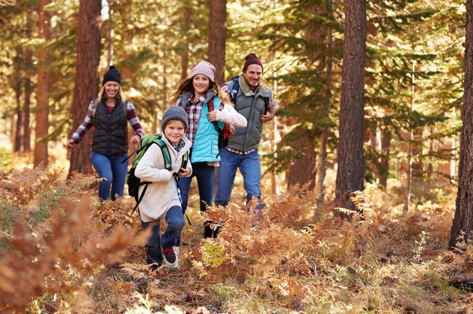 L’hiver se termine, allez avec vos enfants dans la forêt! Jeux et idées pour les premières promenades printanières