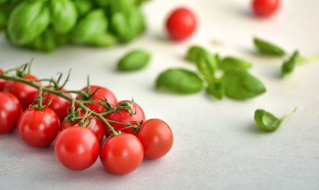 Avril et mai dans le jardin, mais aussi derrière la fenêtre! Cultivez les légumes aussi dans votre appartement